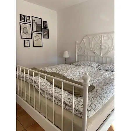 아파트 With Swimming Pool 보드만루드비히샤펜